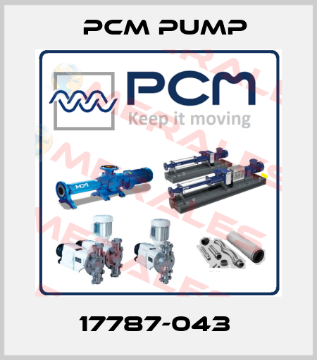 17787-043  PCM Pump