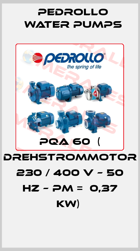 PQA 60  ( Drehstrommotor  230 / 400 V – 50 Hz – Pm =  0,37 kW)  Pedrollo Water Pumps
