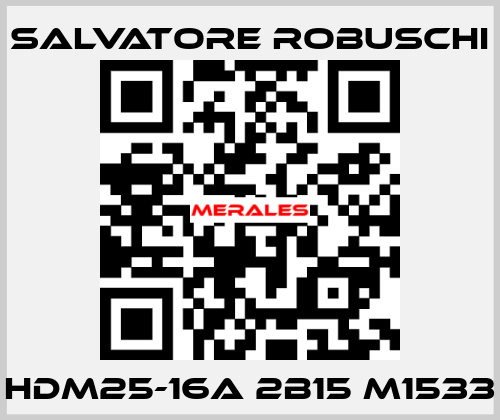 HDM25-16A 2B15 M1533 SALVATORE ROBUSCHI