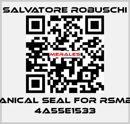 mechanical seal for RSM25-12A 4A55E1533 SALVATORE ROBUSCHI