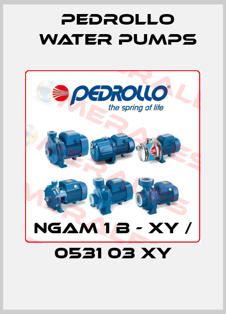 NGAm 1 B - XY / 0531 03 XY Pedrollo Water Pumps