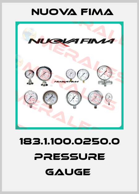 183.1.100.0250.0 Pressure gauge  Nuova Fima