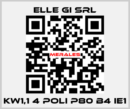 KW1,1 4 POLI P80 B4 IE1 ELLE GI SRL