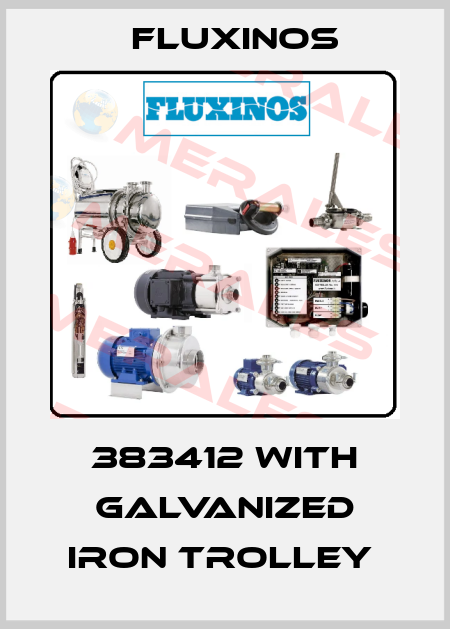 383412 with galvanized iron trolley  fluxinos