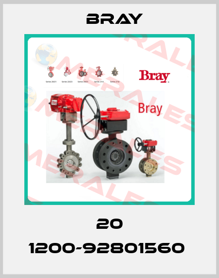 20 1200-92801560  Bray