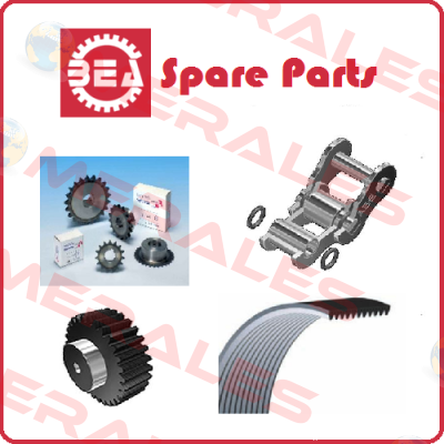 3/8 COR. SEMPL. Z80 BEA Ingranaggi