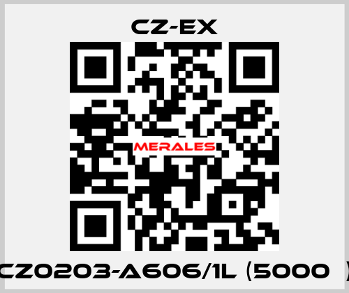 CZ0203-A606/1L (5000Ω) CZ-EX
