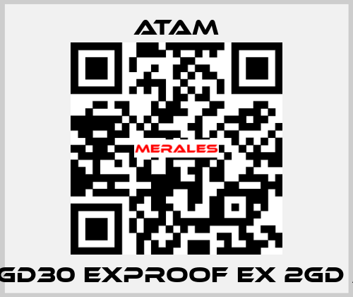 257GD30 EXPROOF EX 2GD /I M1 ATAM