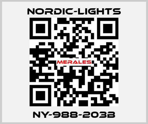 NY-988-203B nordic-lights