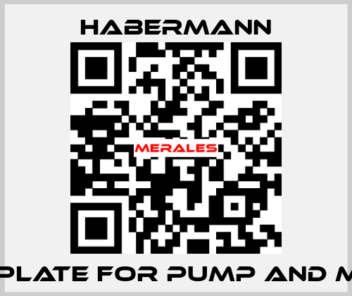 Base plate for pump and motor HABERMANN