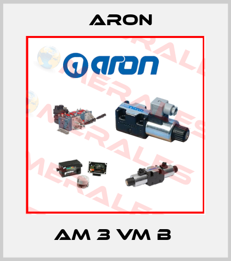 AM 3 VM B  Aron
