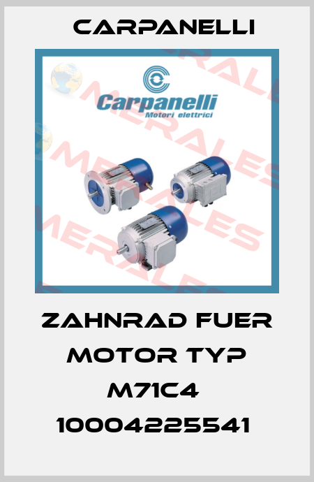 Zahnrad fuer Motor Typ M71C4  10004225541  Carpanelli