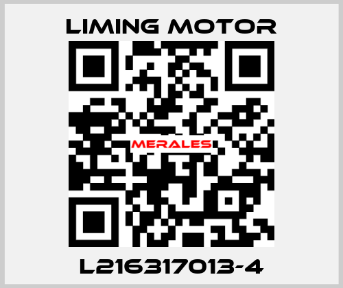 L216317013-4 Liming Motor