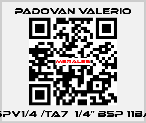 VSPV1/4 /TA7  1/4" BSP 11bar PADOVAN VALERIO
