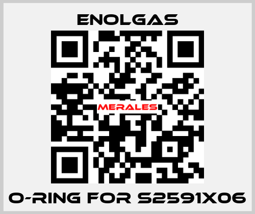 O-Ring for S2591X06 Enolgas