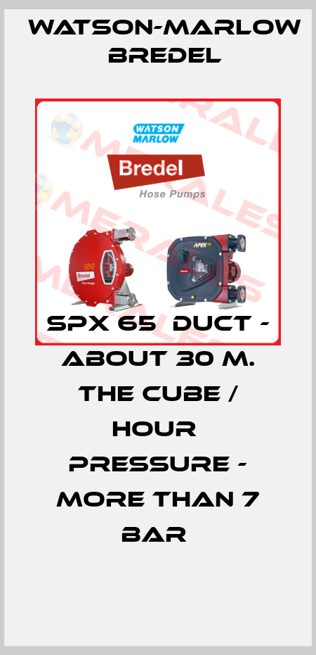 SPX 65  Duct - about 30 m. The cube / hour  Pressure - more than 7 bar  Watson-Marlow Bredel