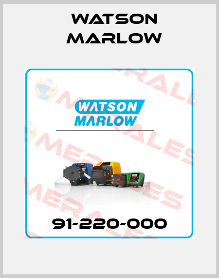 91-220-000 Watson Marlow