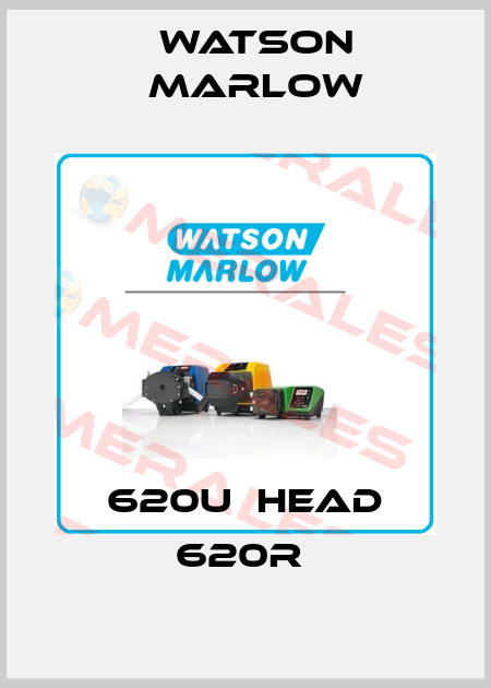 620U  head 620R  Watson Marlow