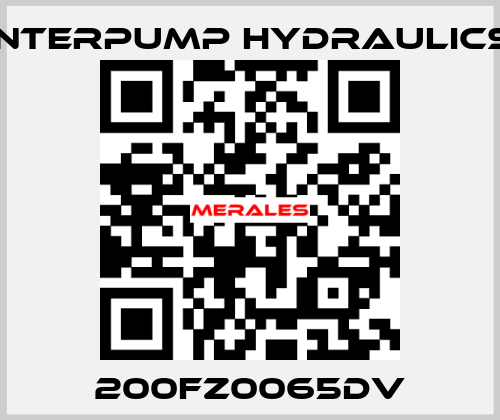 200FZ0065DV Interpump hydraulics
