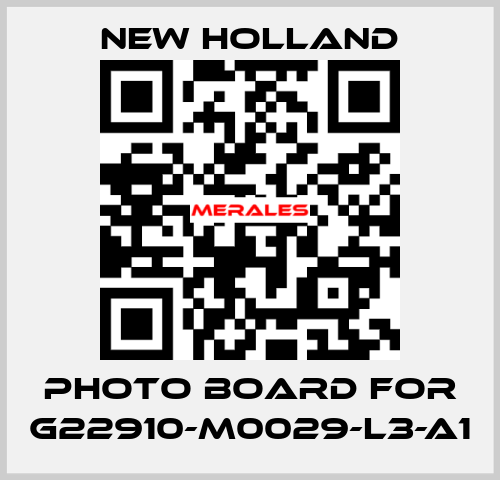 Photo Board for G22910-M0029-L3-A1 New Holland