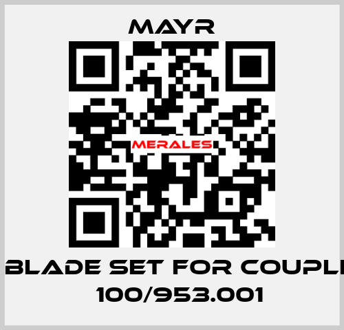 HT blade set for coupling 	100/953.001 Mayr