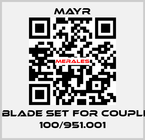 HT blade set for coupling 100/951.001 Mayr
