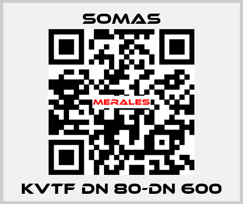 KVTF DN 80-DN 600 SOMAS