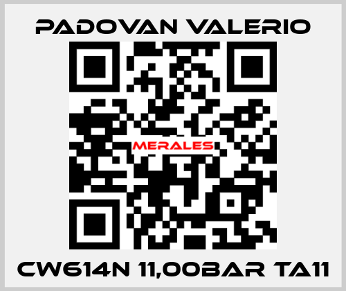 CW614N 11,00BAR TA11 PADOVAN VALERIO