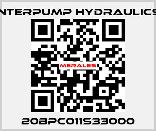 20BPC011S33000 Interpump hydraulics
