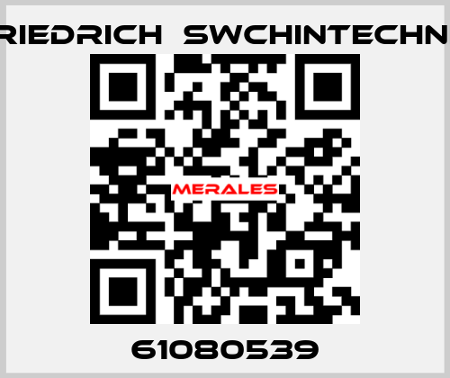 61080539 Friedrich  Swchintechnik