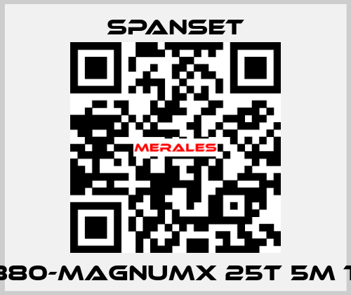 D091380-MagnumX 25t 5m T NoC SpanSet