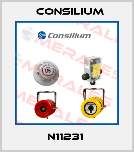 N11231  Consilium