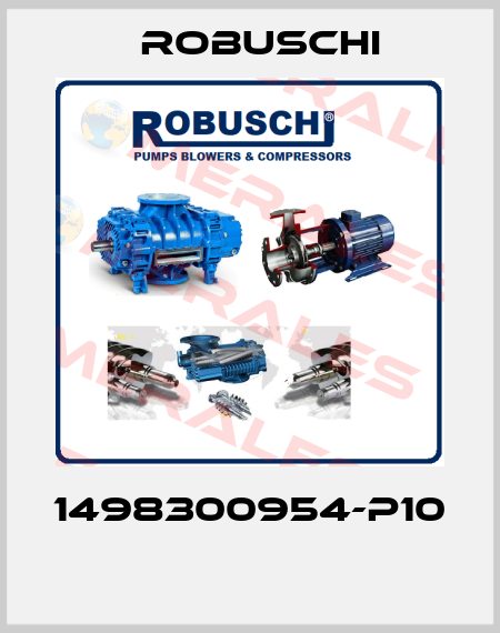 1498300954-P10  Robuschi