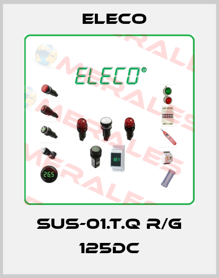 SUS-01.T.Q R/G 125DC Eleco