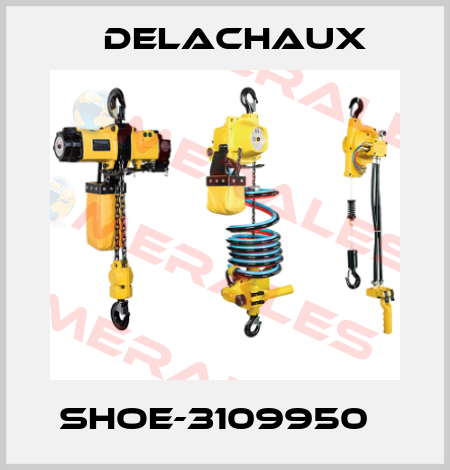SHOE-3109950   Delachaux