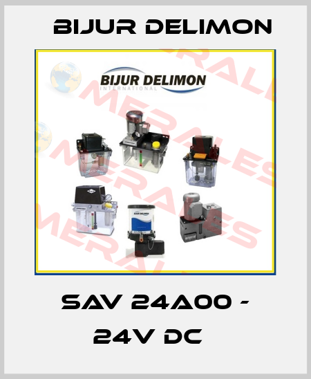 SAV 24A00 - 24V DC   Bijur Delimon