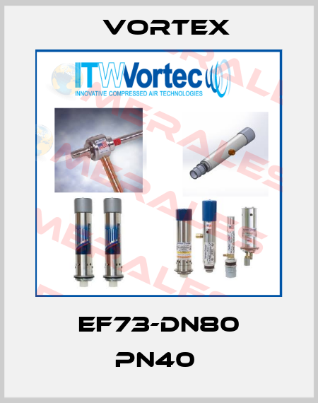 EF73-DN80 PN40  Vortex