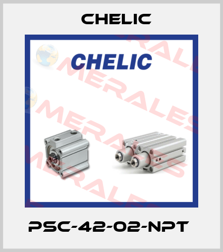 PSC-42-02-NPT  Chelic