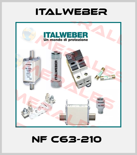 NF C63-210  Italweber