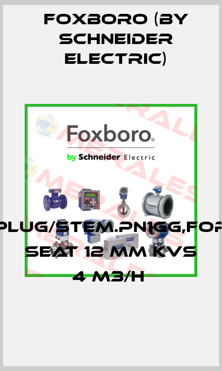 PLUG/STEM.PN1GG,FOR SEAT 12 MM KVS 4 M3/H  Foxboro (by Schneider Electric)