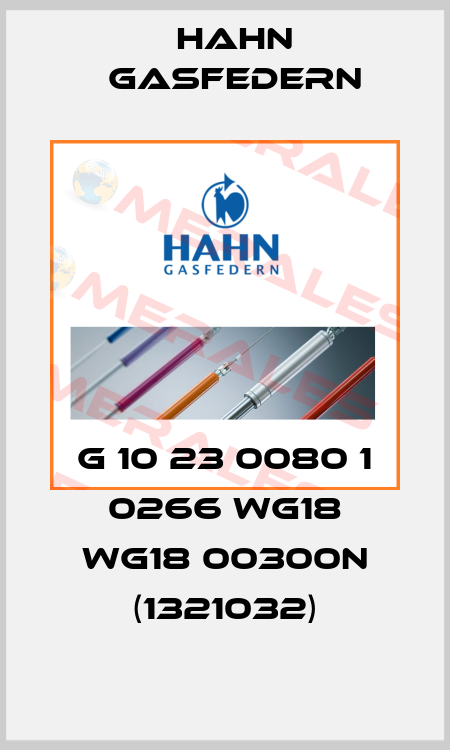 G 10 23 0080 1 0266 WG18 WG18 00300N (1321032) Hahn Gasfedern