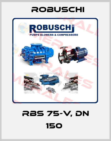 RBS 75-V, DN 150  Robuschi