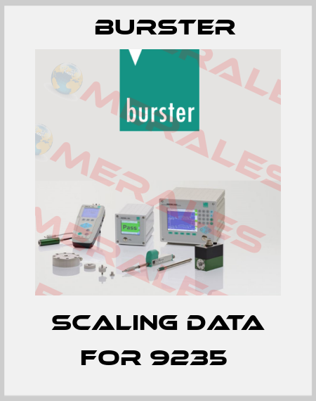 scaling data for 9235  Burster