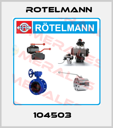 104503    Rotelmann