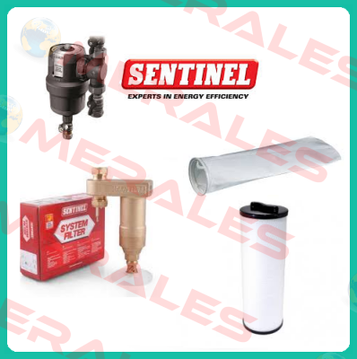 X100 1 Liter (1 box-540 pcs) Sentinel