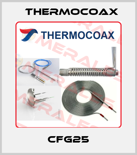 CFG25 Thermocoax