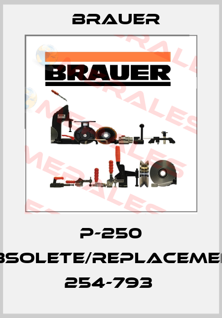 P-250 obsolete/replacement 254-793  Brauer