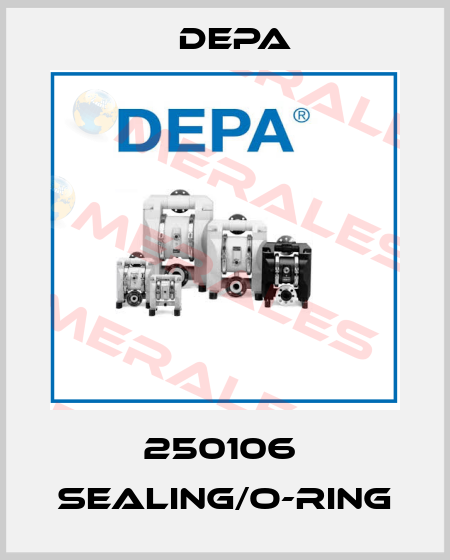 250106  Sealing/O-Ring Depa