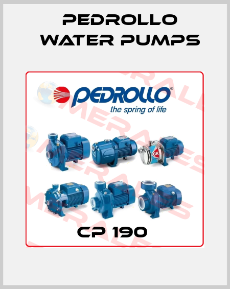 CP 190  Pedrollo Water Pumps