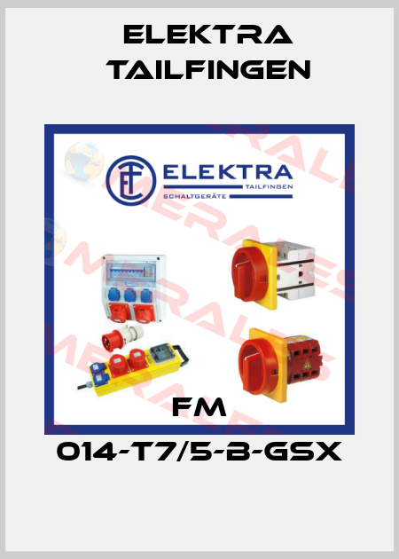 FM 014-T7/5-B-GSX Elektra Tailfingen